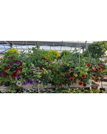 HANGING MILLION BELLS BASKET 10 Custom product