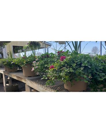 PATIO COMBO POTS 12 Custom product