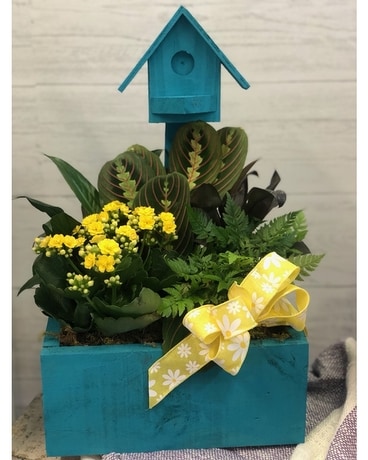 Blooming Birdhouse Blue Flower Arrangement