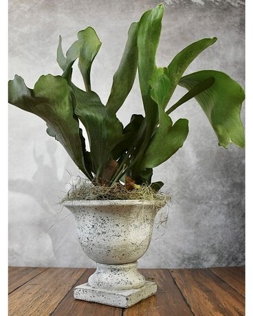 Stag Horn Flower Arrangement