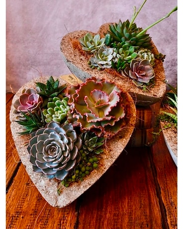 Succulent Love Flower Arrangement