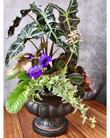 shady planter Flower Arrangement