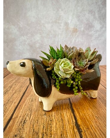 Hot Dog! Flower Arrangement