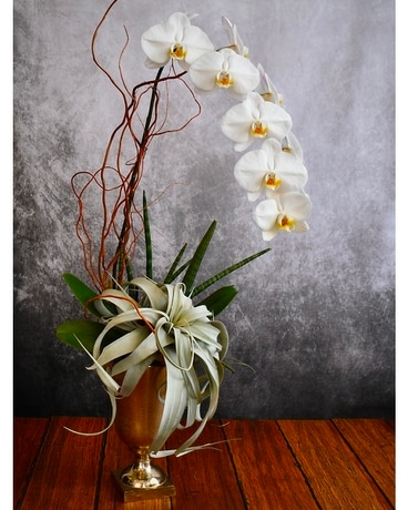 Luxe Orchid Flower Arrangement