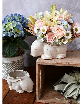 Standard size,  inches height and  inches wide.