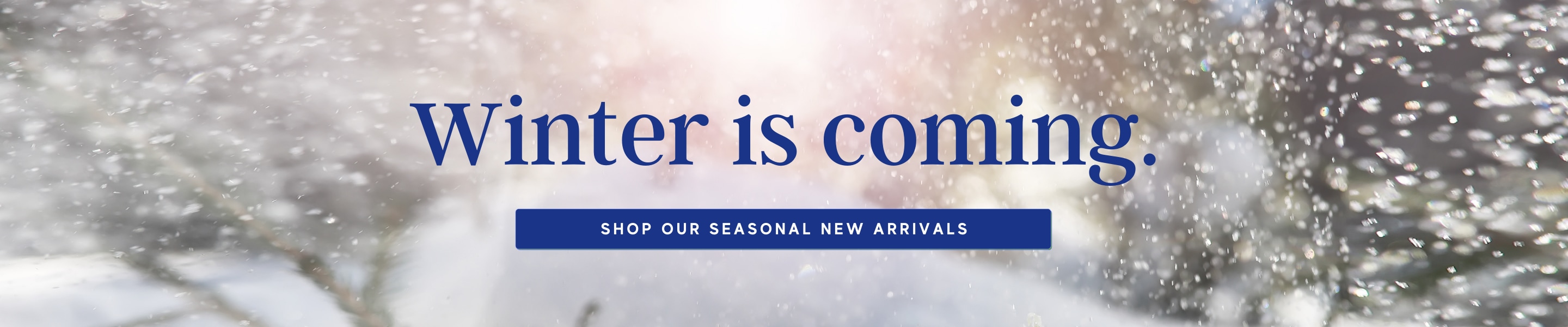 Flower Delivery to Phoenix by Ambrosia Floral Boutique & Flower Delivery