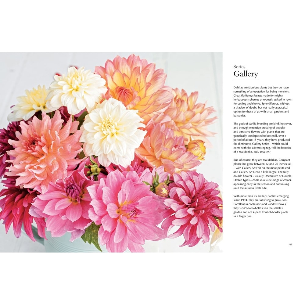 Dahlia: Beautiful Varieties for Home & Garden Book in Lancaster PA