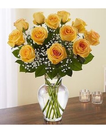 1 DOZEN YELLOW ROSES Flower Arrangement