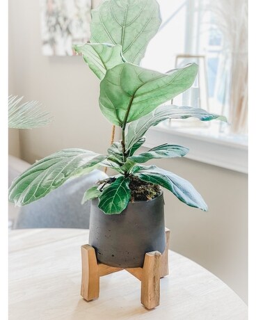 PEG LEG PLANT HOLDER WITH FIDDLE FIG Plant