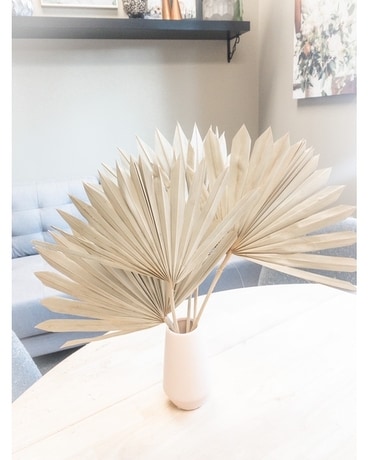 DRIED FANS Dried Flowers