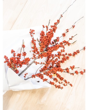 Winter Berry Bunch Flowers