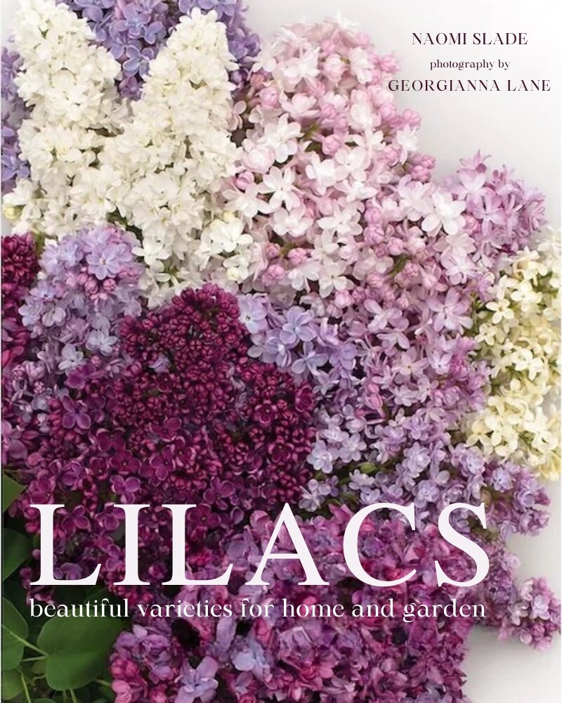 skusku12760803.jpg?1721929518383