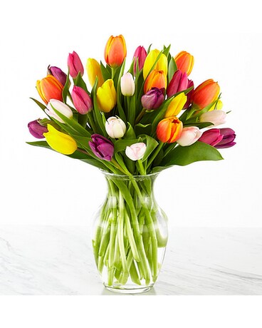 Mixed Tulip Bouquet Flower Arrangement