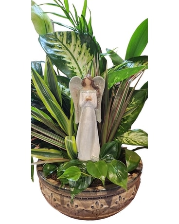 Dish Garden with Angel Flower Arrangement