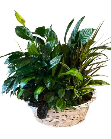 Large Garden Basket Flower Arrangement