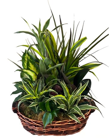 Small Garden Basket Flower Arrangement