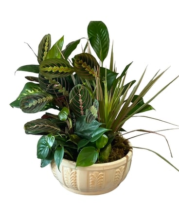 Small Dish Garden Flower Arrangement