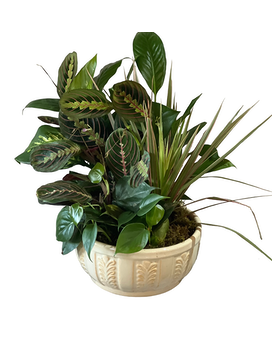 Small Dish Garden Flower Arrangement