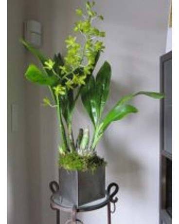 Granny Orchids Flower Arrangement