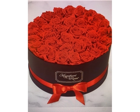magnificent roses Flower Arrangement