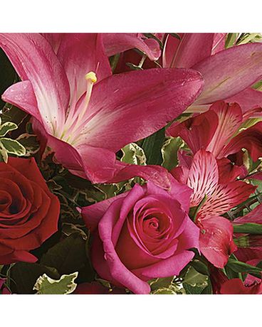 Vibrant Pink Designer's Choice Flower Arrangement