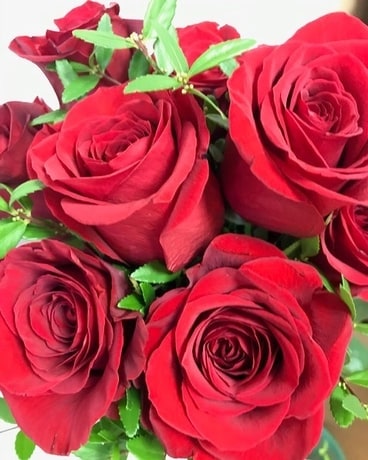 1 Dozen Roses, wrapped Bouquet