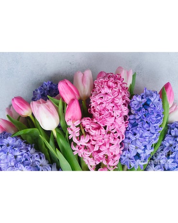 WELCOME SPRING!!!!! Bulb plants Plant