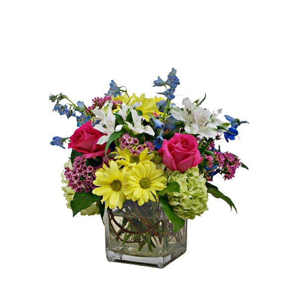 Spring Vibes in Indianapolis IN - Steve’s Flowers and Gifts