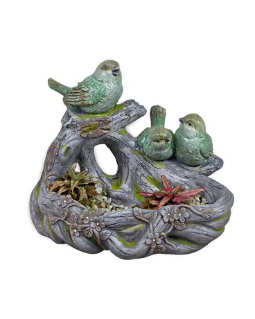 Woodland Friends Dish Garden Plant