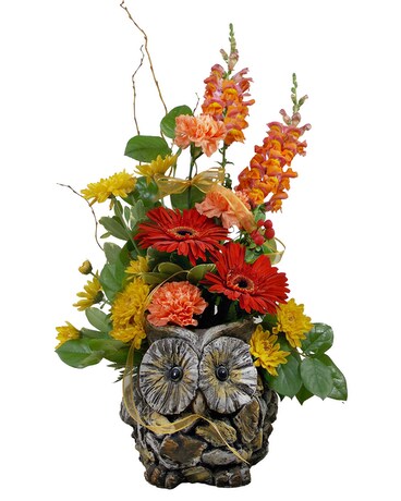 Owl Natural Flower Arrangement