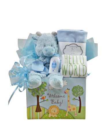 Welcome Baby Boy Gift Set Gift Basket