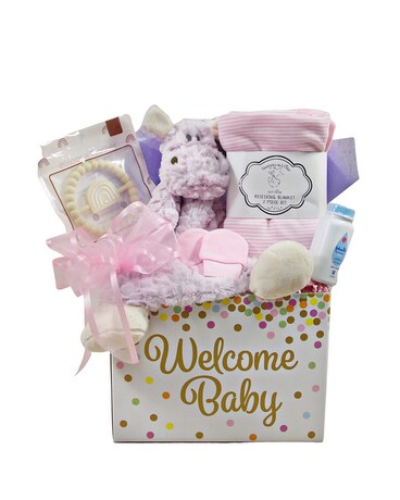 Welcome Baby Girl Gift Set Gift Basket