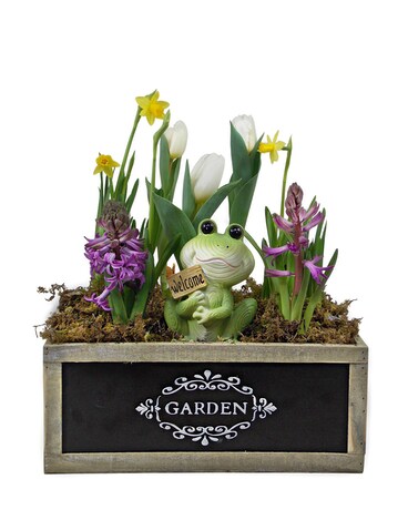 Welcome, Spring! Plant
