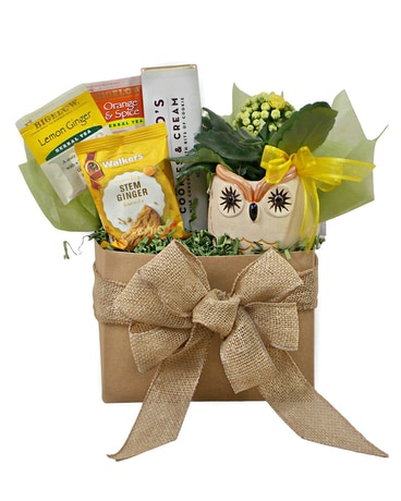 Owl Gift Basket Gifts