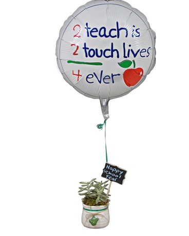 Succa Good Teacher Plant