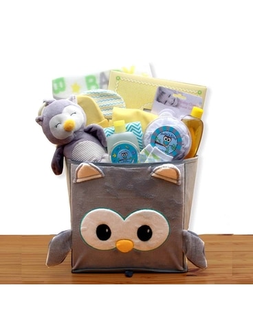 A Little Hoot New Baby Gift Basket Gift Basket