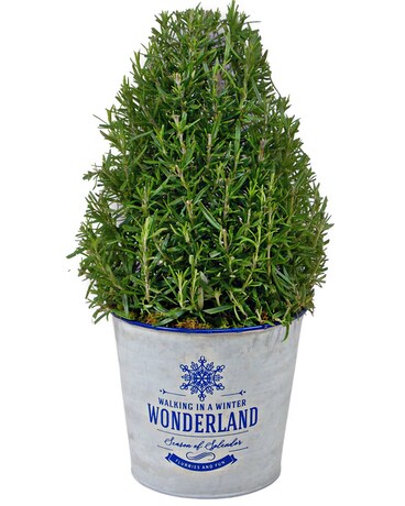 Rosemary Tree Flower Arrangement