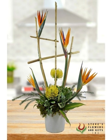 Tropic of Conversation Flower Arrangement