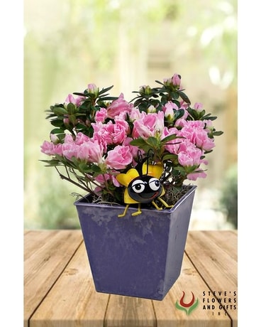 Just Bee-cause Plant