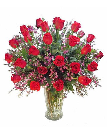 Shop Steve's Flowers and Gifts for world class Valentine's Day Roses ...