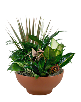 As Shown size, 19 inches height and 15 inches wide.
