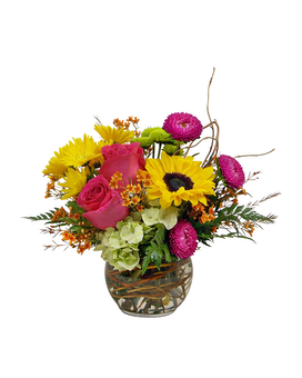 As Shown size, 11 inches height and 12 inches wide.