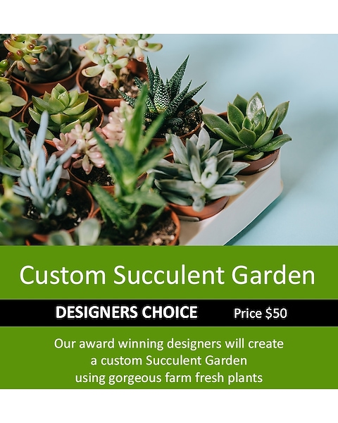 Designer's Choice Succulent Garden