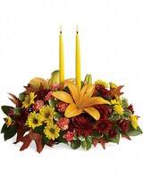 Standard size, 17 inches height and 19 and a half inches wide.