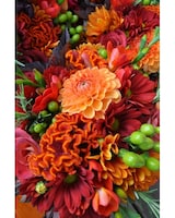 Deal #1 size,  inches height and  inches wide.