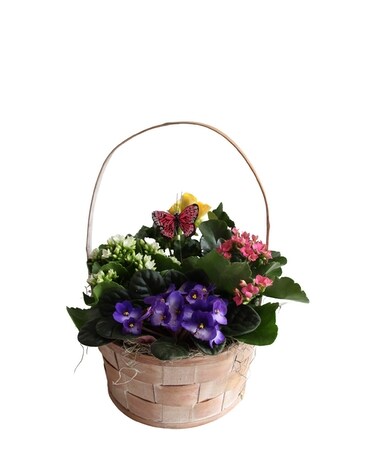 Spring Has Sprung Basket Flower Arrangement