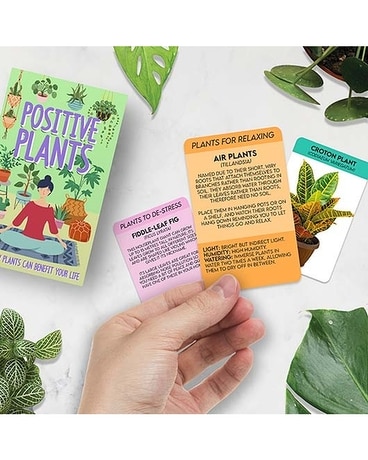 Positive Plants Cards Gifts