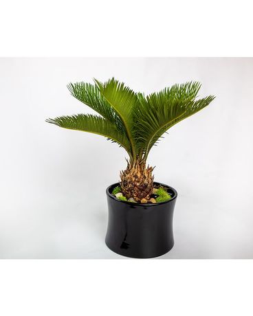 Sago Palm Flower Arrangement