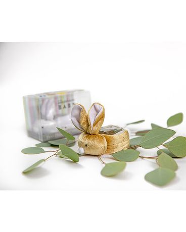 Boo Boo Bunny Flower Arrangement