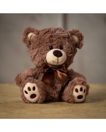 7 in. Warm Teddy Gifts